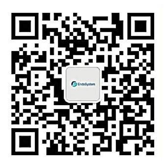WeChat Service